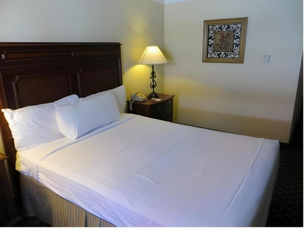 El Cortez Hotel & Casino Adults Over 21 Only Image 33